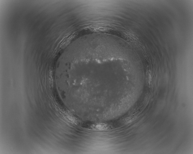 X0000056370506200509091652