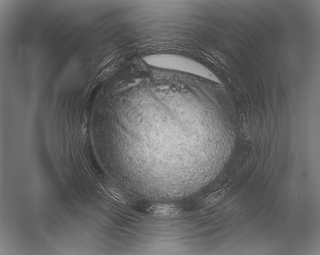 X0000056370507200509091652