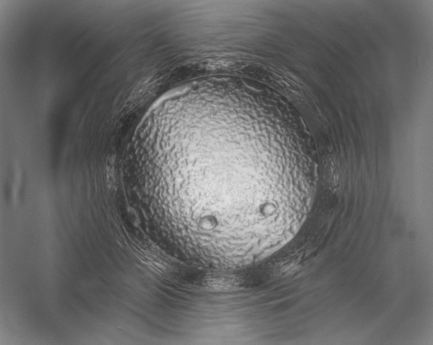 X0000056370510200509091652