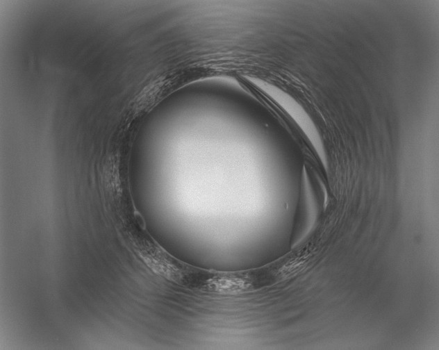 X0000056370512200509091652