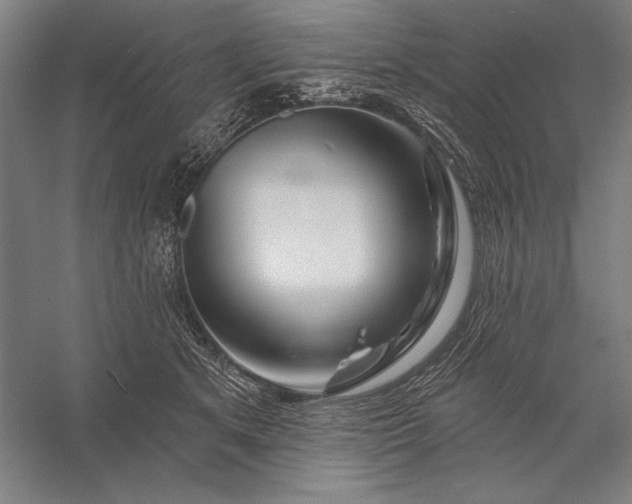 X0000056370513200509091652