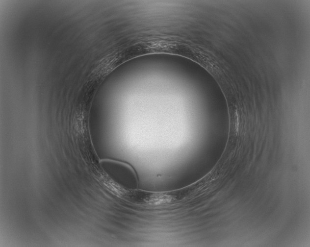 X0000056370514200509091652