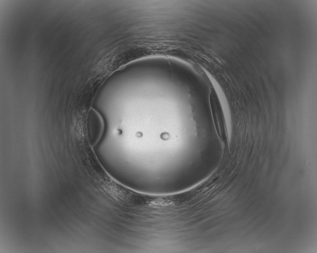 X0000056370515200509091652