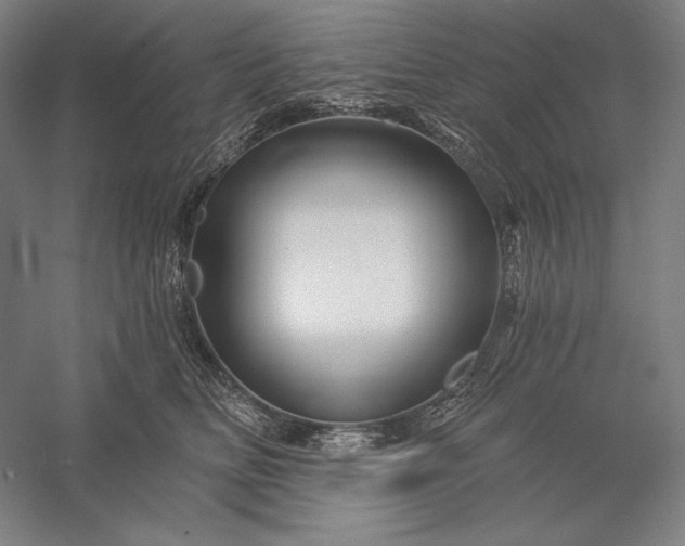 X0000056370518200509091652