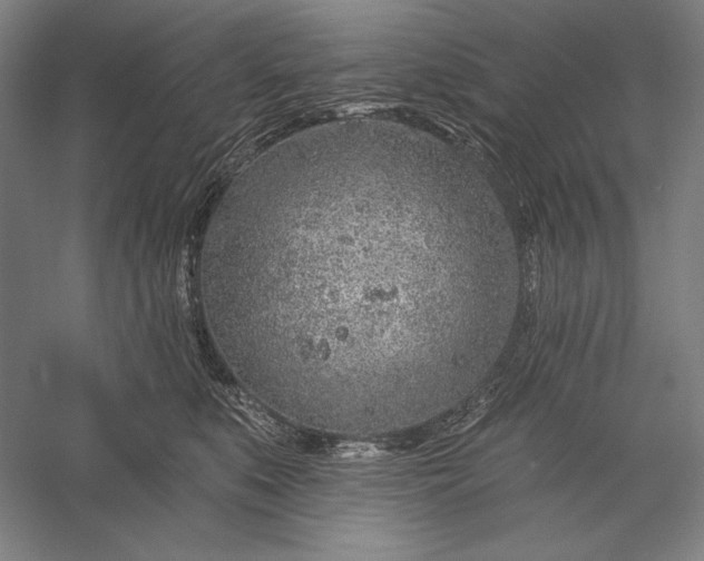 X0000056370519200509091652