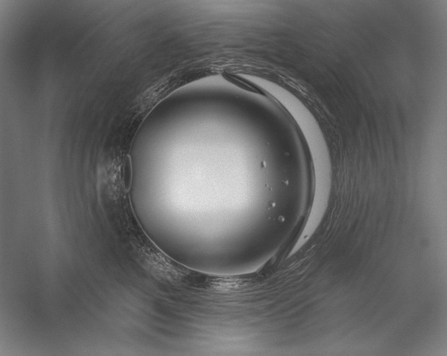 X0000056370521200509091652