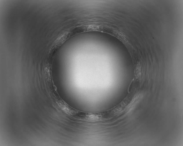 X0000056370522200509091652