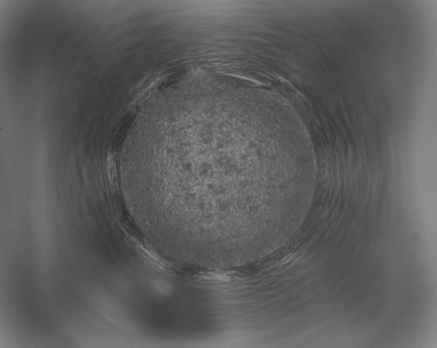 X0000056370523200509091652