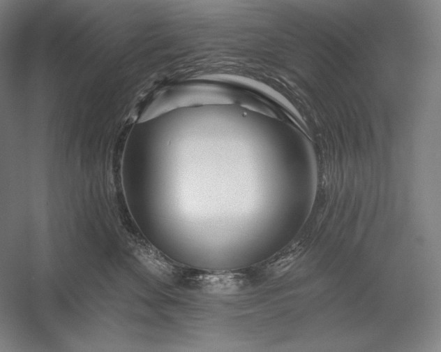 X0000056370524200509091652