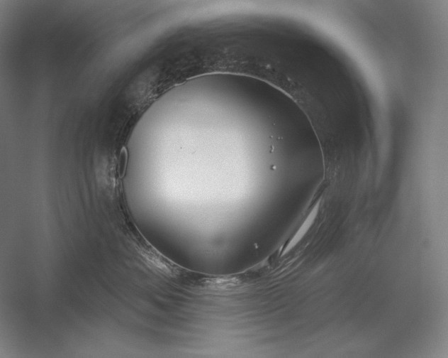 X0000056370525200509091652