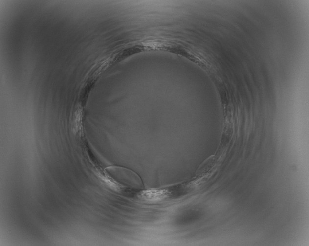 X0000056370526200509091652