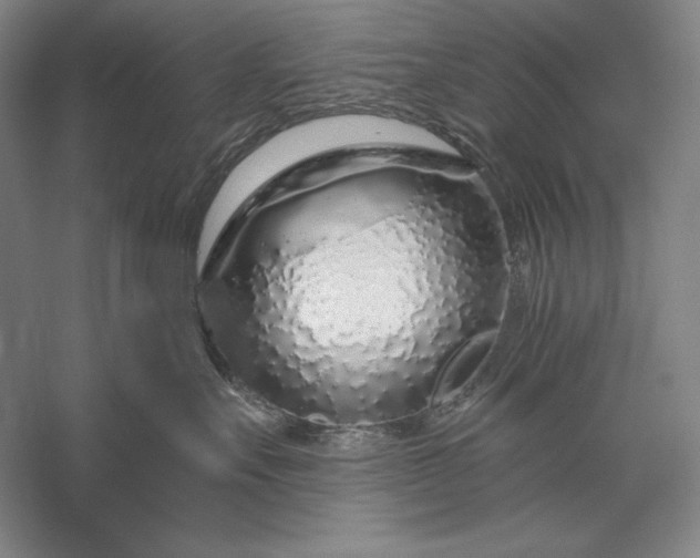 X0000056370527200509091652