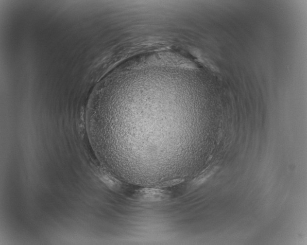 X0000056370528200509091652