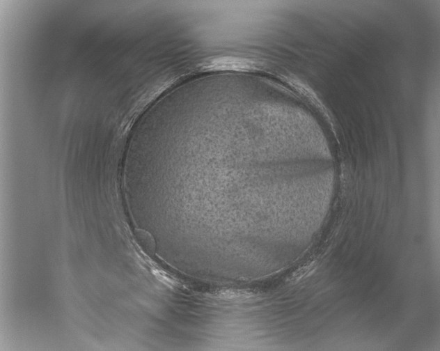 X0000056370529200509091651