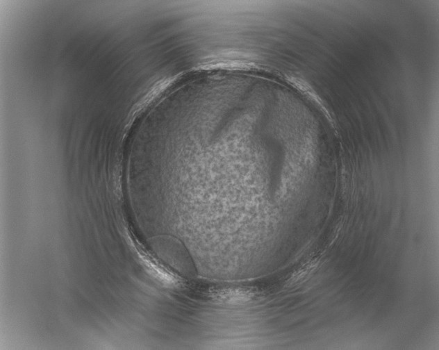 X0000056370533200509091651