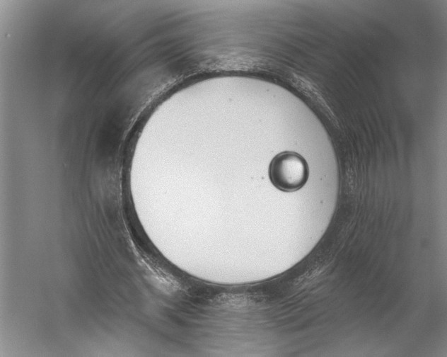 X0000056370534200509091651