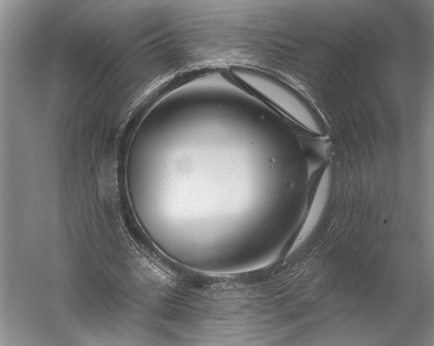 X0000056370535200509091651