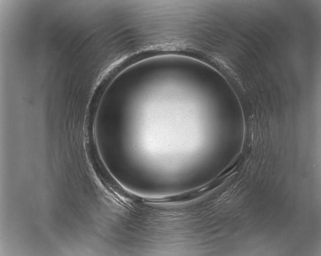 X0000056370536200509091651