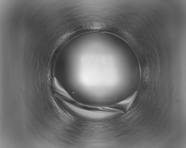 X0000056370540200509091651