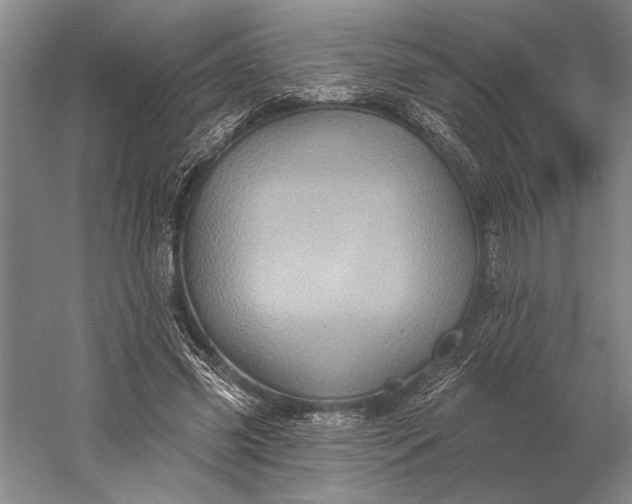 X0000056370541200509091651