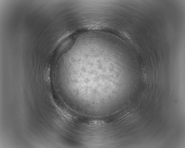 X0000056370543200509091651