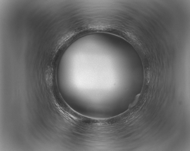 X0000056370544200509091651