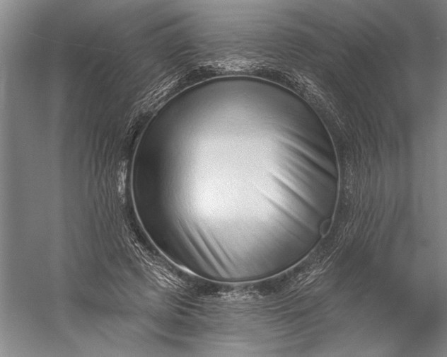 X0000056370545200509091651