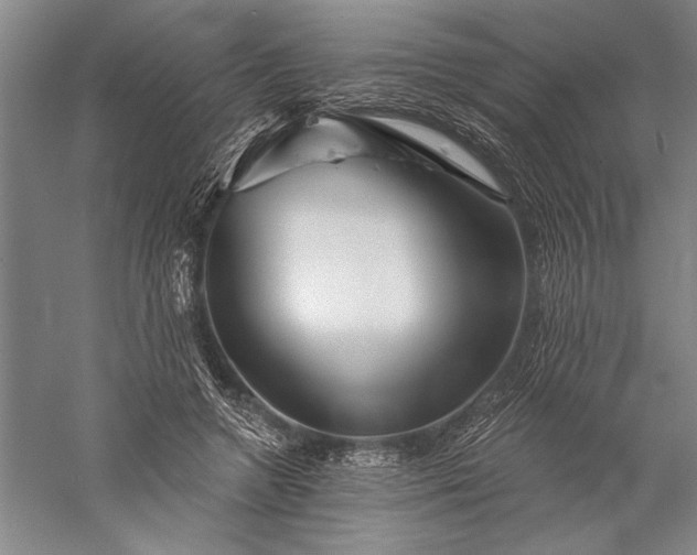 X0000056370546200509091651