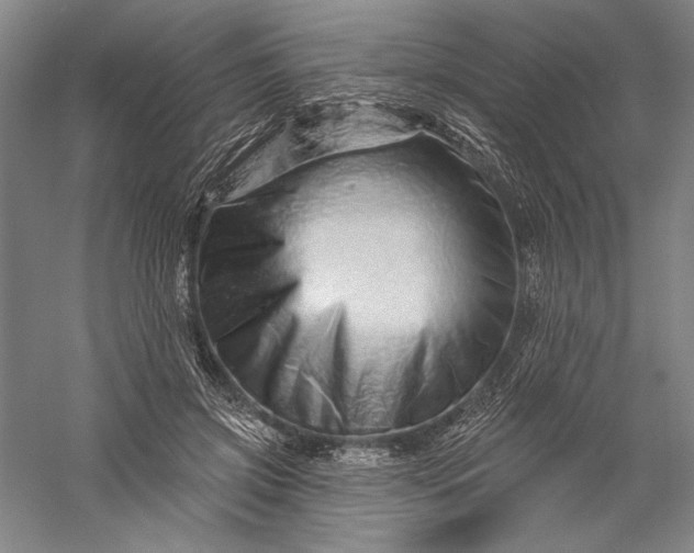 X0000056370549200509091651