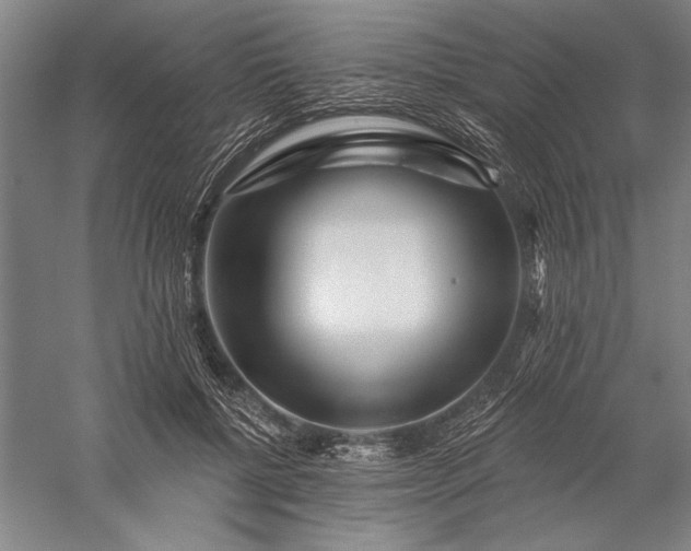 X0000056370552200509091651