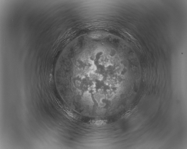 X0000056370553200509091652