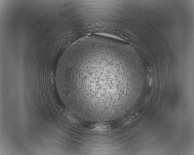 X0000056370555200509091652