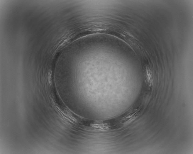 X0000056370556200509091652