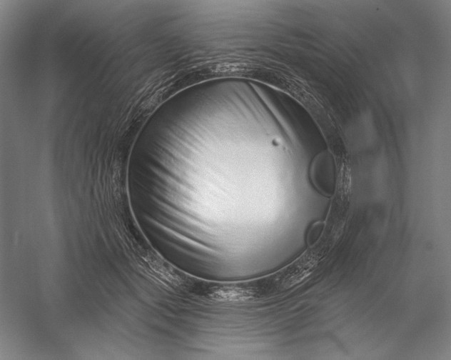 X0000056370557200509091652