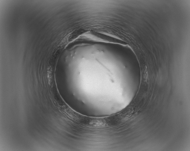 X0000056370559200509091652