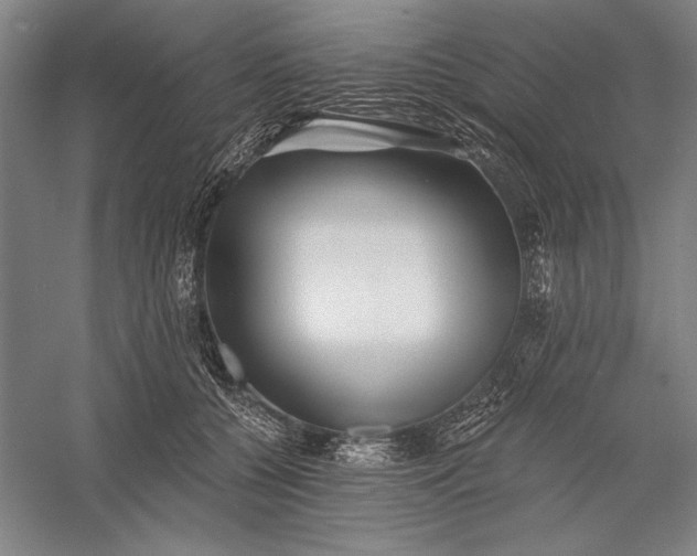 X0000056370560200509091652