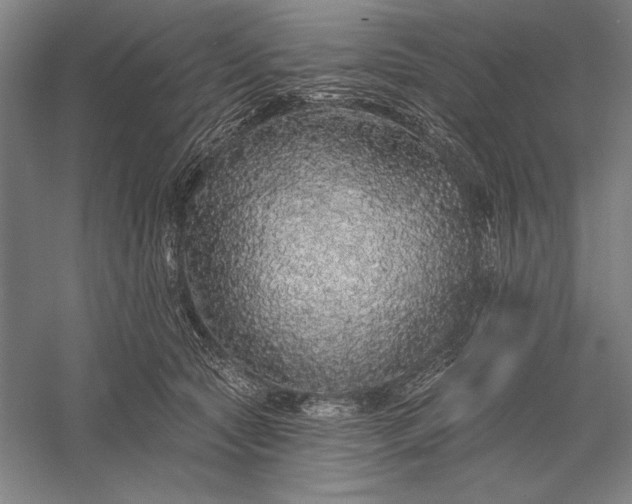 X0000056370561200509091652