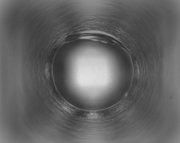 X0000056370562200509091652