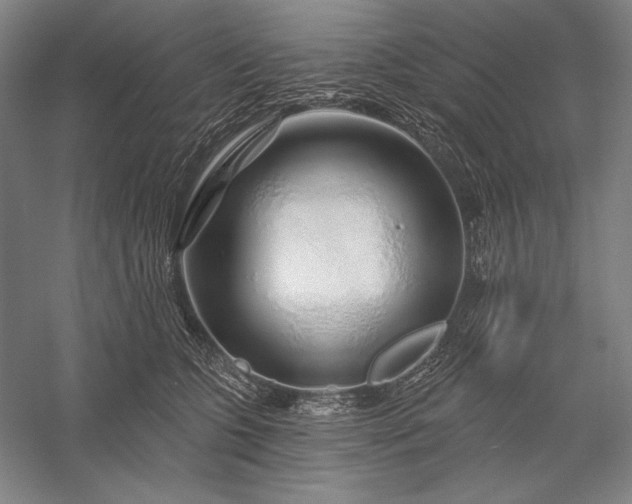 X0000056370563200509091652