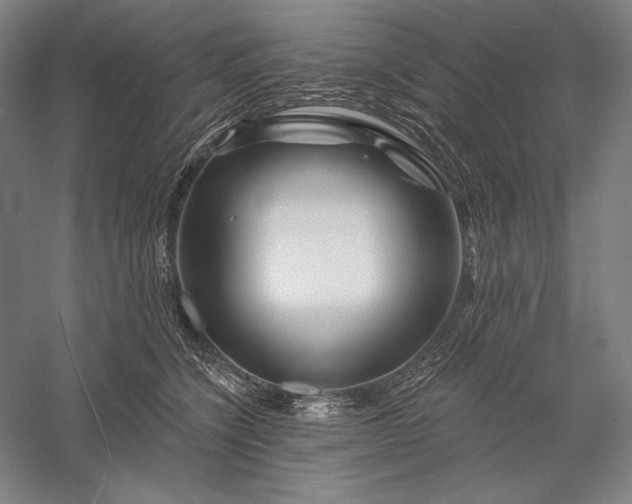 X0000056370564200509091652