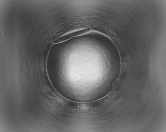 X0000056370565200509091652