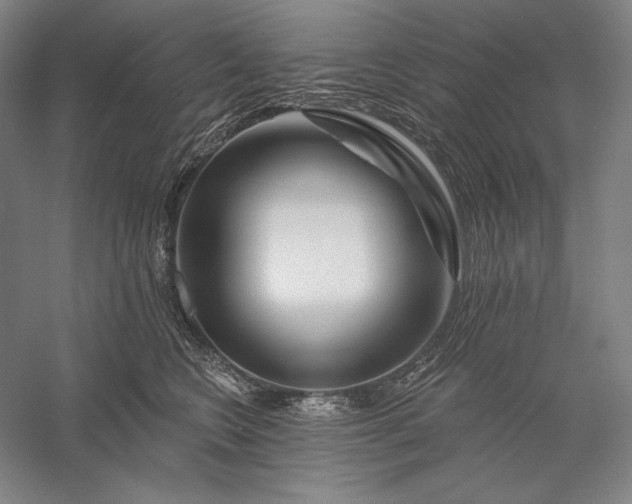 X0000056370566200509091652