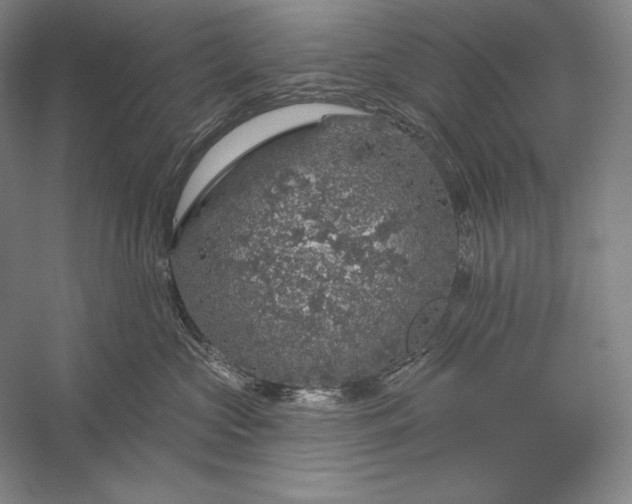 X0000056370573200509091652