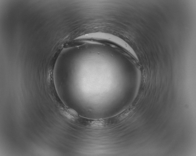 X0000056370574200509091652