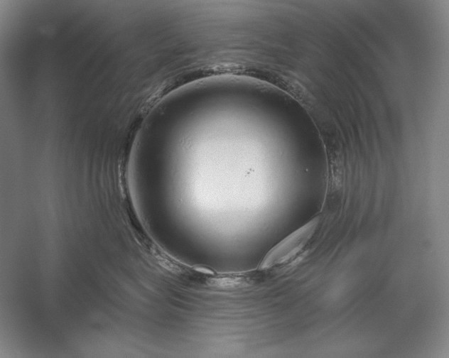 X0000056370575200509091652