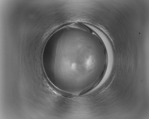 X0000056370577200509091651