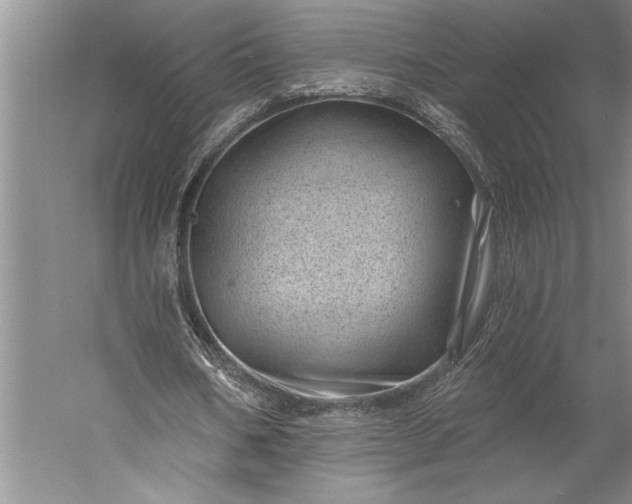 X0000056370578200509091651