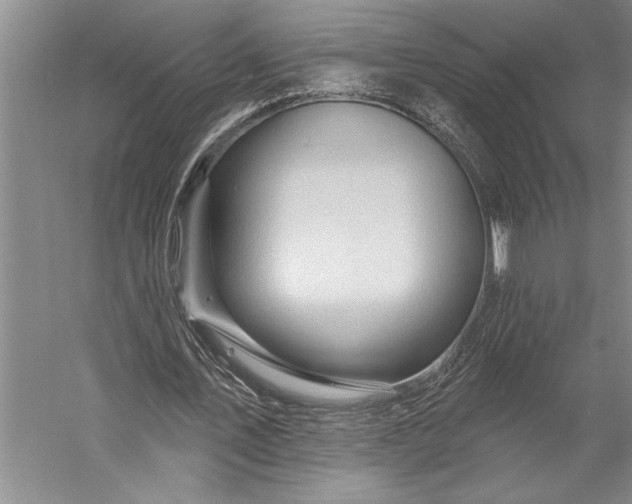 X0000056370579200509091651