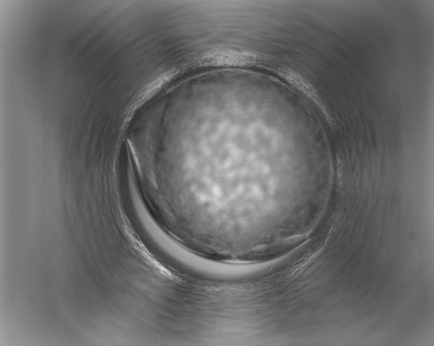 X0000056370581200509091651