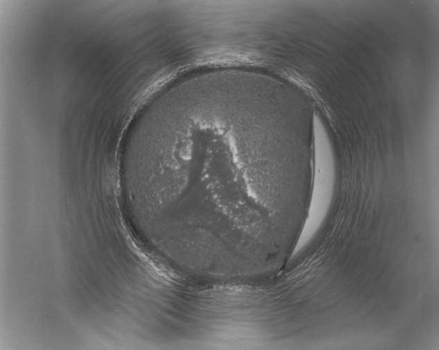 X0000056370582200509091651